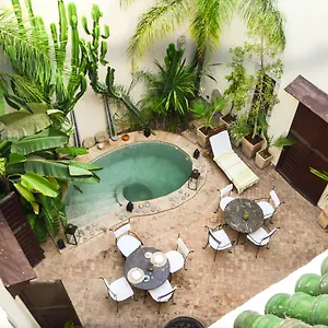 Les Ammonites And Marrakesh